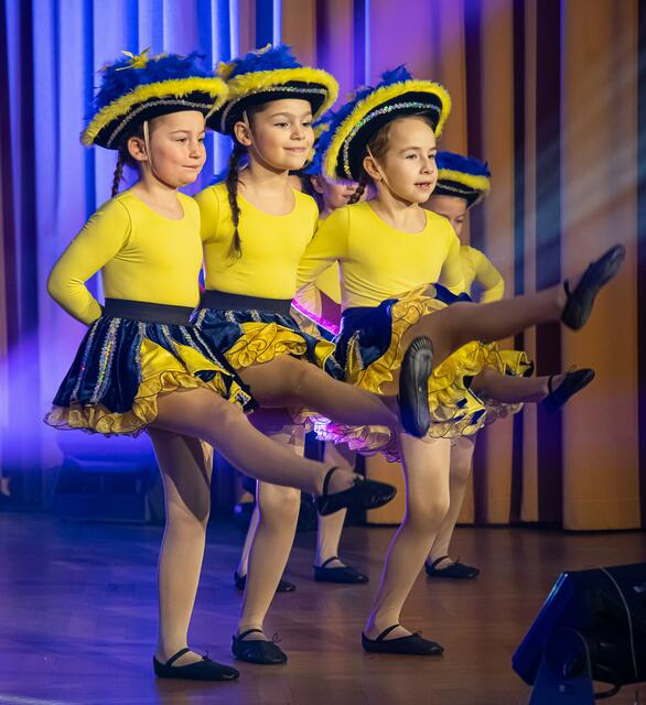 Garde der Eulen &amp; NarrGeLanz | Foto: R. Wehrl und M. Gartner