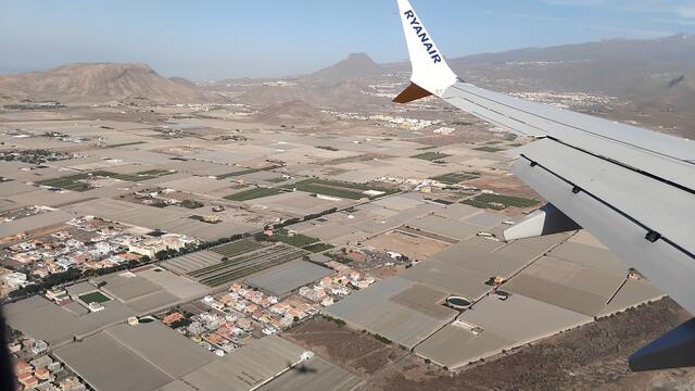 Bananenkuturen unter Netz | Foto: FS Silberberg