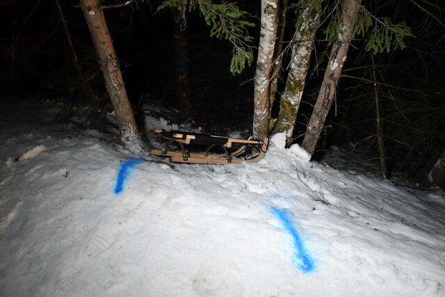 Auf der Rodelbahn am Schneeberg ereignete sich am 10. Jänner ein Unfall. | Foto: ZOOM.Tirol