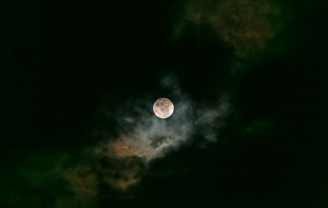 Foto: Unsplash/ Kenrick Mills