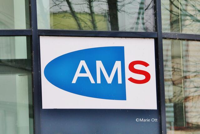 AMS, Förderungen, Menschen mit Behinderung