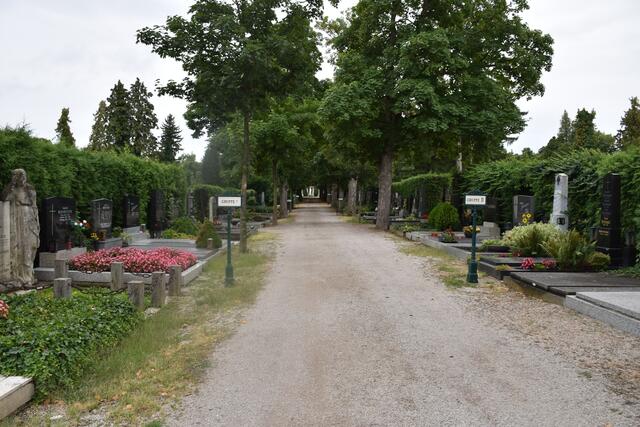 Foto: Alexandra Goll