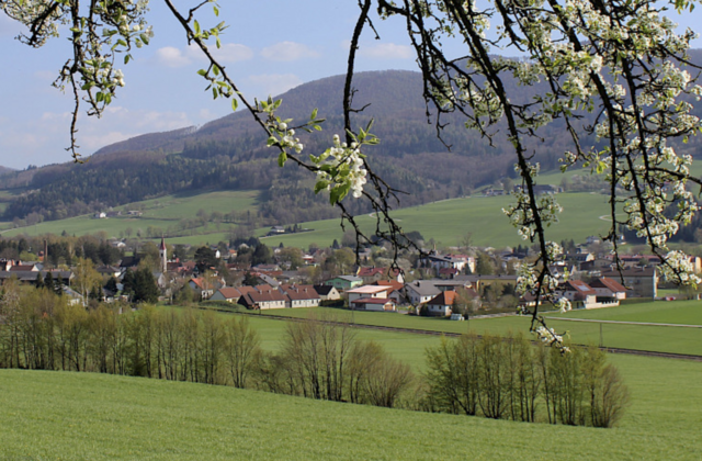 Foto: Die Filmchronisten