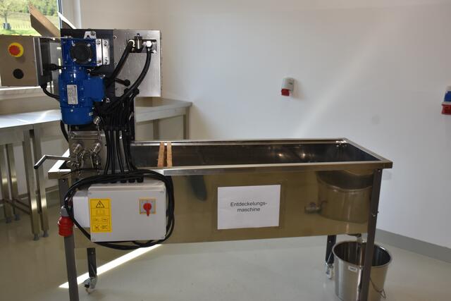 Die Menschen haben den Bienen im Mittelalter und viele Jahrhunderte davor den Honig „geraubt“. Aus Baumhöhlen und Felsspalten holten die „Zeidler“ den Honig. Aus den Waben wurden Kerzen erzeugt. Die heutige Imkerei ist nicht mit der „Imkerei“ des Mittelalters zu vergleichen. Bild zeigt Strubi (Strudengau-Bienen).   | Foto: Zinterhof