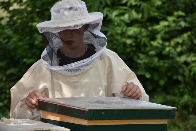 Die Menschen haben den Bienen im Mittelalter und viele Jahrhunderte davor den Honig „geraubt“. Aus Baumhöhlen und Felsspalten holten die „Zeidler“ den Honig. Aus den Waben wurden Kerzen erzeugt. Die heutige Imkerei ist nicht mit der „Imkerei“ des Mittelalters zu vergleichen.     | Foto: Zinterhof