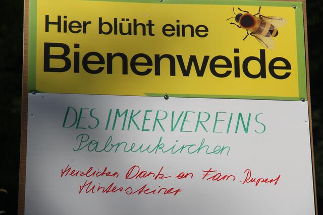 Die Menschen haben den Bienen im Mittelalter und viele Jahrhunderte davor den Honig „geraubt“. Aus Baumhöhlen und Felsspalten holten die „Zeidler“ den Honig. Aus den Waben wurden Kerzen erzeugt. Die heutige Imkerei ist nicht mit der „Imkerei“ des Mittelalters zu vergleichen.   | Foto: Zinterhof