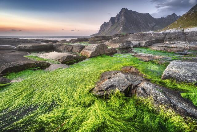 Foto: Zwerger-Schoner