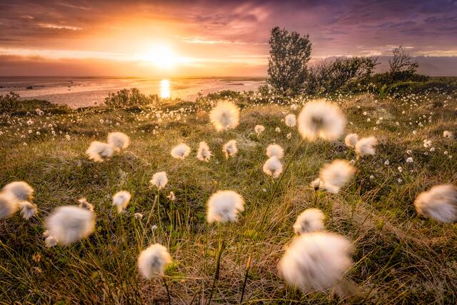 Foto: Zwerger-Schoner