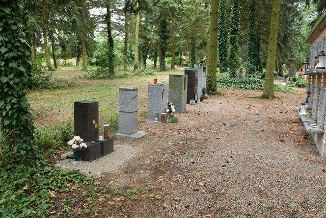 Foto: Alexandra Goll