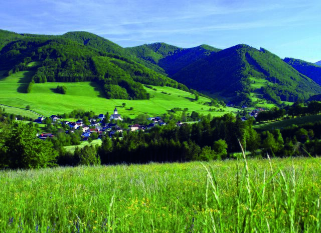 Foto: Johann Farafelln
