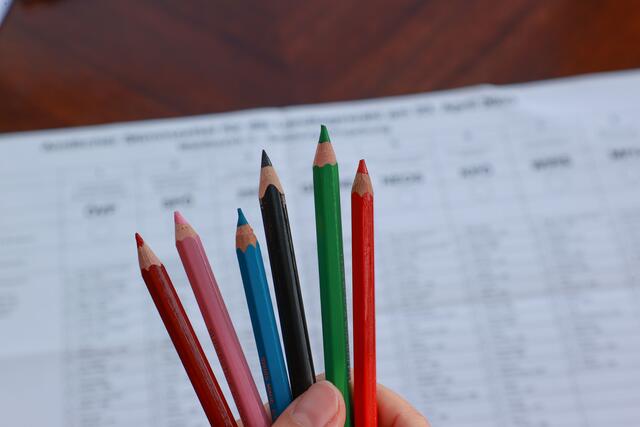 Am 26. Jänner steht Pielachtal die Gemeinderatswahl an. | Foto: Neumayer/Picturedesk