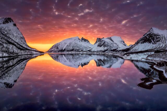 Foto: Zwerger-Schoner