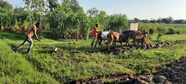 Tansania: Dort haben die Menschen noch alles in der Hand. Wir helfen den Armen, ihre Lebensgrundlagen zu sichern. 