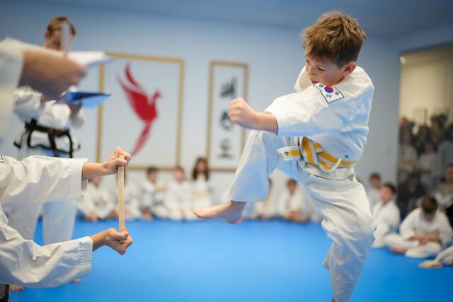 Foto: Phönix Taekwondo Schule