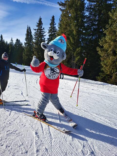 Maskottchen „Eggtillwood“ ist ebenfalls auf Skiern unterwegs. | Foto: WSV Aichberg-Eibiswald