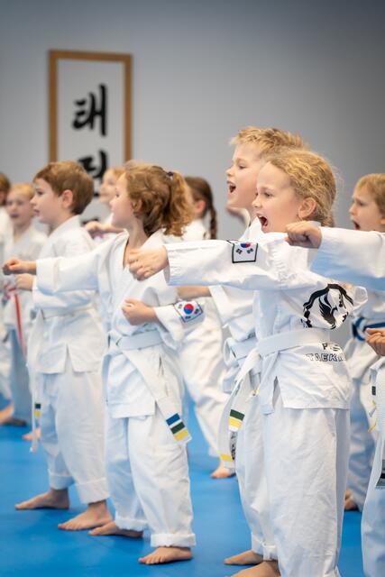 Foto: Phönix Taekwondo Schule