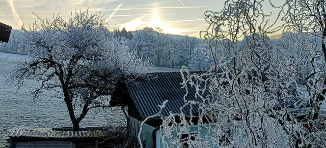 Silvia Höllers Schneefoto – Jänner 2025. | Foto: Silvia Höller