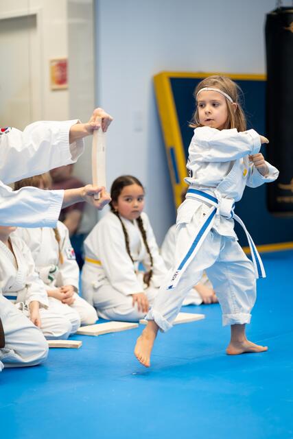 Foto: Phönix Taekwondo Schule