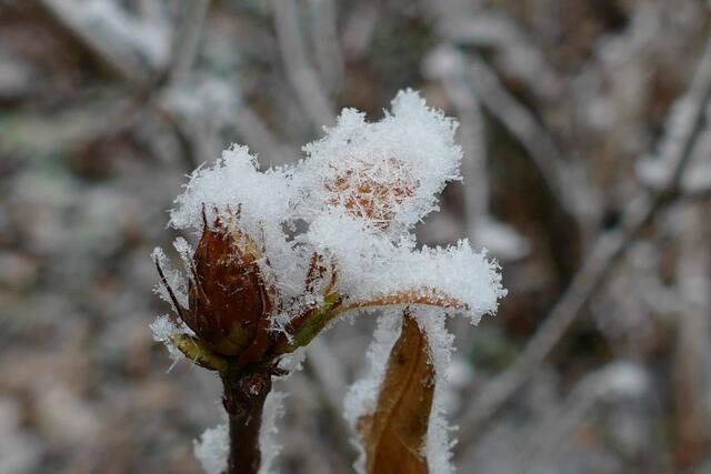 Foto: E. Graf