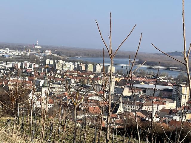 Die Stadt Krems von oben | Foto: sg