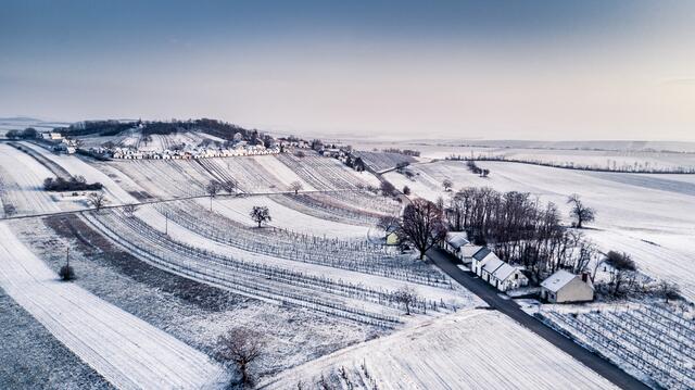 Weinviertel, Wildendürnbach, Winter, Kellergasse, Schnee | Foto: weis (c) Niederösterreich Werbung/ Robert Herbst
