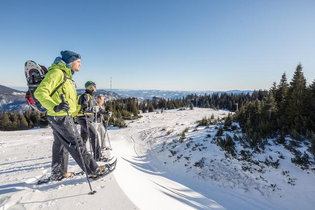 Foto: WIENER ALPEN in Niederösterreich Tourismus GmbH