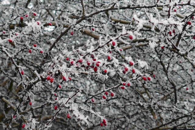 Foto: E. Graf