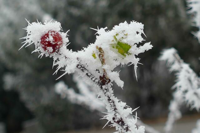 Foto: E. Graf