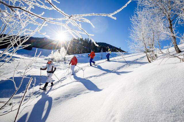 Mariazellerland, mariazell, Winter | Foto: Fred Lindmoser