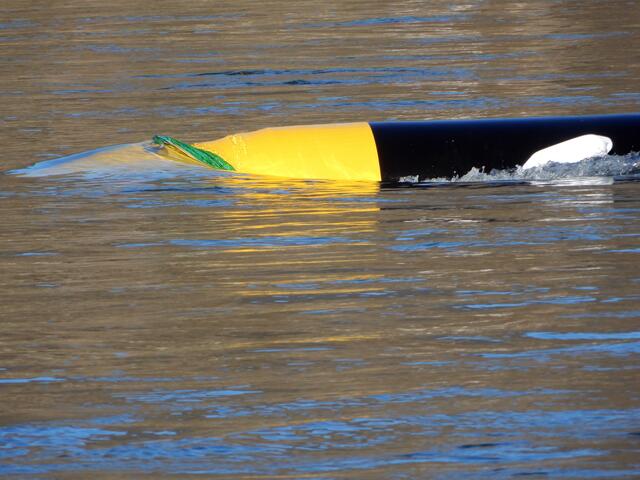 In Korneuburg produzieren bald fünf Strombojen Energie. | Foto: Fritz Mondl, Aqua Libre GmbH