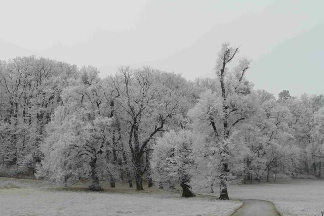 Foto: E. Graf