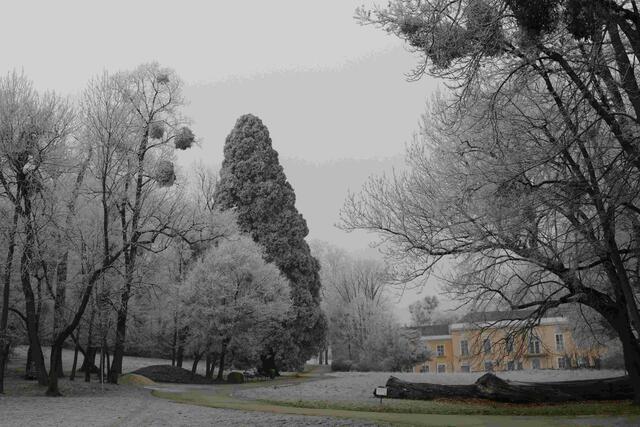 Über den Pötzleinsdorfer Schloßpark legte sich vor Kurzem eine Frost-Hülle.  | Foto: E. Graf