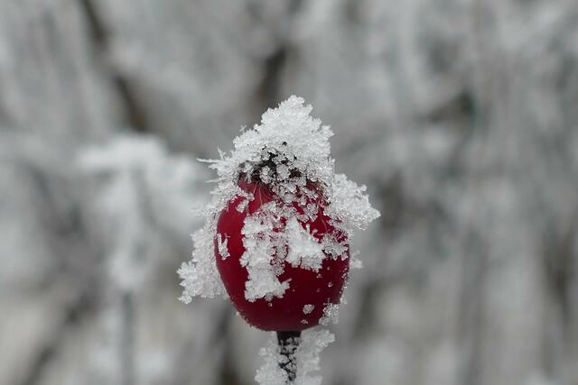 Foto: E. Graf