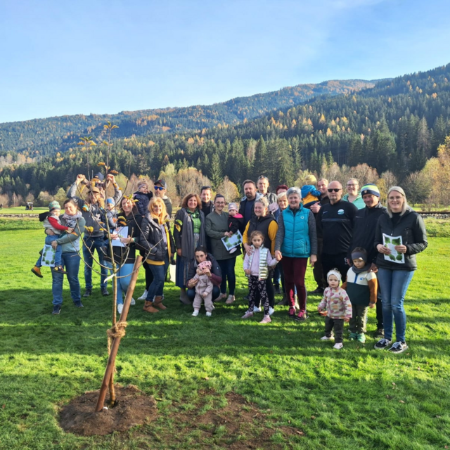 Lebensbaum für den Geburtsjahrgang 2023 | Foto: privat