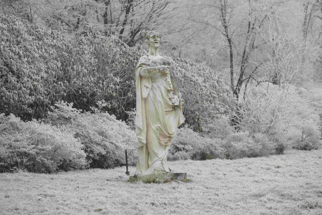 Foto: E. Graf