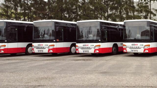 Noch sind die alten Citybusse – wie hier im Bild zu sehen – im Trauner Stadtgebiet im Einsatz. | Foto: OÖVV_WWT
