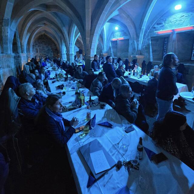 Großes Interesse beim Termin im Rittersaal.  | Foto: FPÖ Burgenland