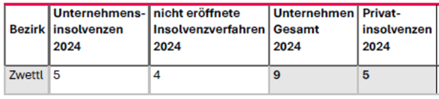 Hier sind die Insolvenzen der Unternehmen und Privaten im Jahr 2024 zu sehen.
