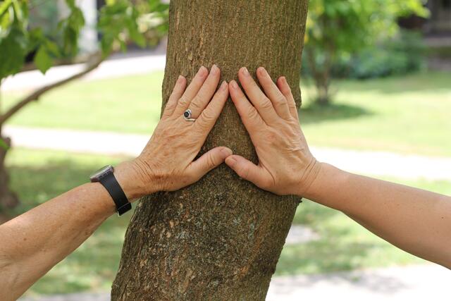 Pro humanis sucht engagierte Menschen, die mit ihrer Zeit und ihrem Einfühlungsvermögen einen Unterschied machen wollen.
 | Foto: zVg