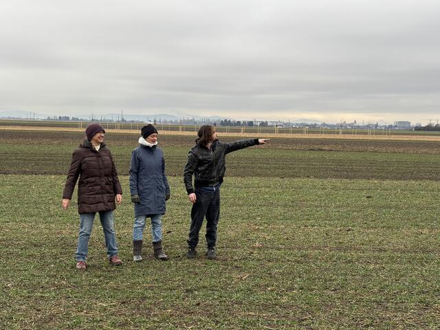 "Dort könnte die große Frischgemüse-Kammer Wiener Neustadts entstehen." | Foto: Zezula