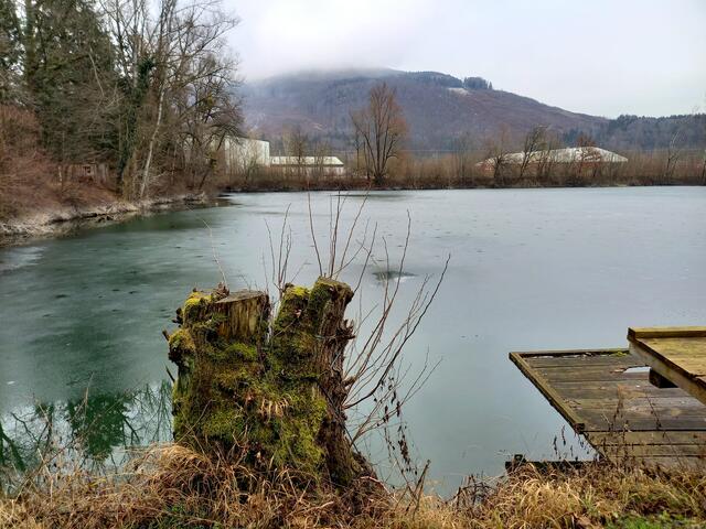 Foto: H. Bachinger