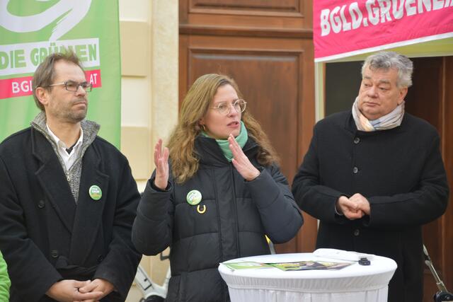 Der Wiedereinzug in den Landtag sei für die Grünen längst keine "g'mahte Wies'n", so Anja Haider-Wallner | Foto: Stefan Schneider