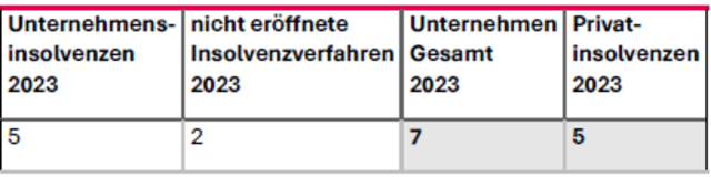 So sehen die Insolvenzen im Jahr 2023 aus.