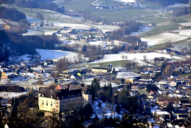 Blick von der Brandstetterkogl-Hütte (NÖ) auf die Stadt Grein wieder möglich. Bäume gefällt.  | Foto: Robert Zinterhof