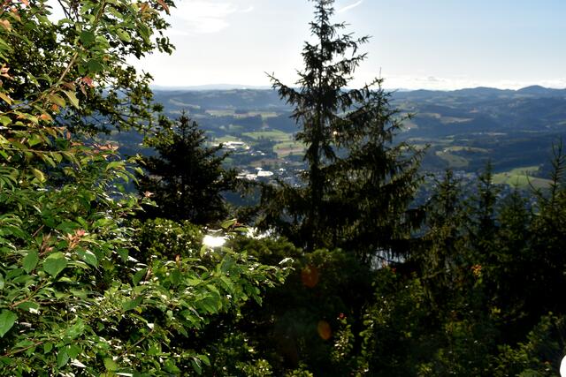 Im Vorjahr: Von der Terasse der Brandstetterkogel-Hütte war Grein (Stadt) nicht mehr zu sehen.  | Foto: Robert Zinterhof