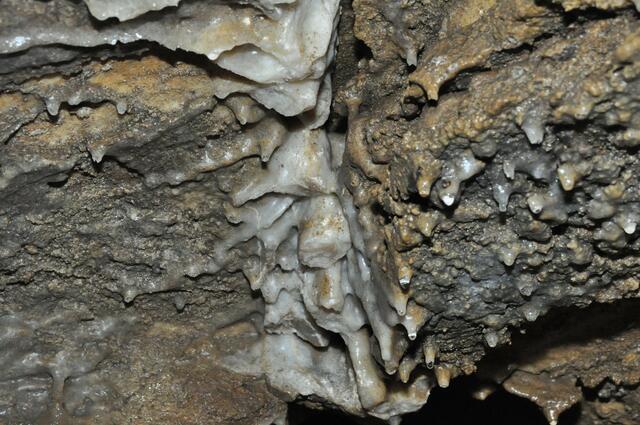 Jahrmillionenalte Tropfsteine (Stalaktiten) hängen von der Decke | Foto: Viana Styria