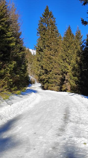 bei winterlichen Bedingungen geht es für uns auf der Mautstraße gemütlicher bergan... | Foto: I.Wozonig