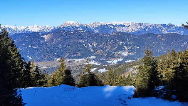Rax und Schneealpe dominieren im Hintergrund, vorne die gr.Scheibe und der Bergkamm bis zur Kampalpe... | Foto: I.Wozonig