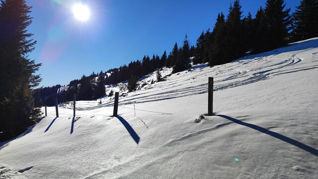 Foto: I.Wozonig