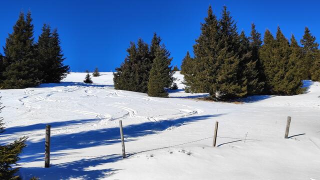 auch Skitourengeher kommen auf ihre Kosten... | Foto: I.Wozonig